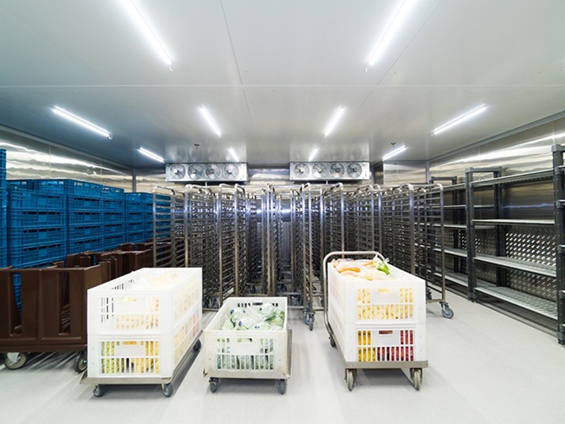 Câmaras Frias para frutas